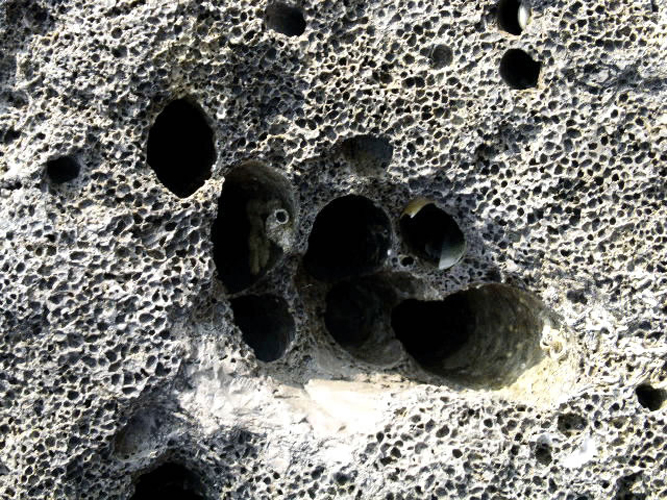 011Dalmare
