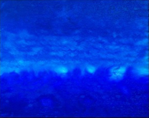 015Scenografia x blue