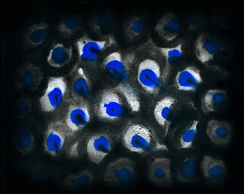 016Scenografia x blue