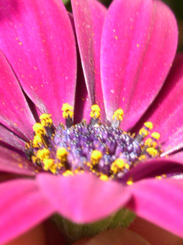 022Fiori e mare al circolo