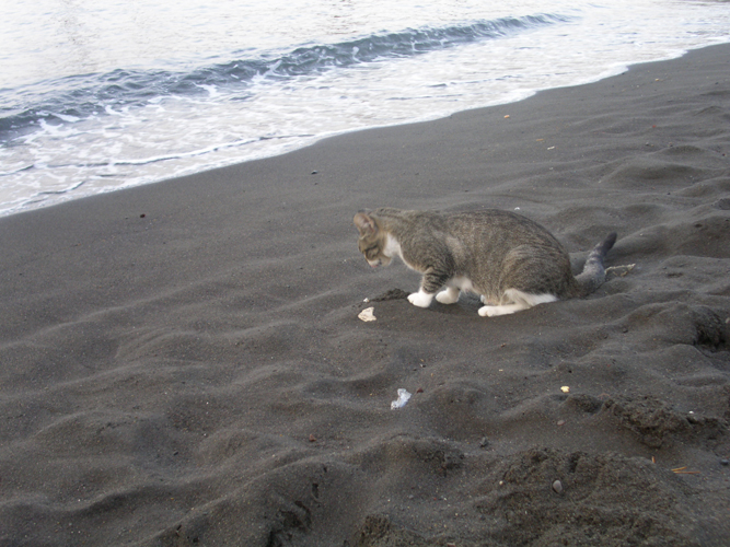 022Miao