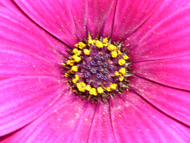 023Fiori e mare al circolo