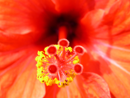 032Fiori e mare al circolo