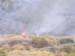 004Salina in fiamme