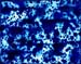 013Scenografia x blue